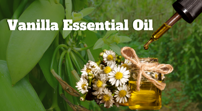 vanilla-essential-oil